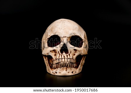 Skull on a black background.
