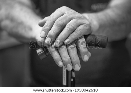 Black and white photography hands senior man holding cane. Senior man holding cane. Close-up of old man hands on walking stick