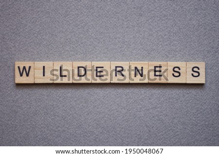 text the word wilderness from brown wooden small letters with black font on an gray table