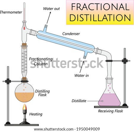 fractional distillation laboratory set up, separation of homogeneous liquid mixtures using boiling point difference Royalty-Free Stock Photo #1950049009