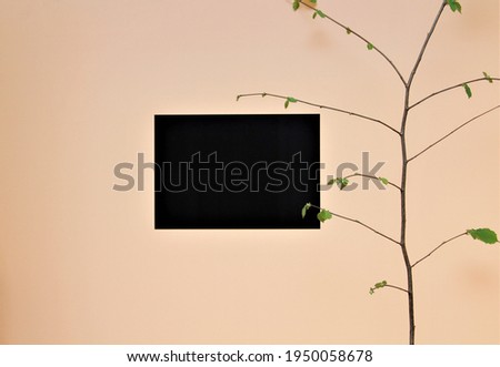 paper and a branch on the wall background