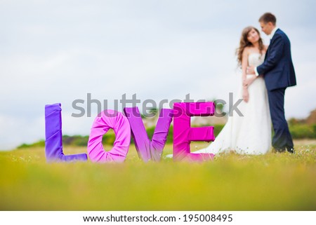 Wedding. Bride and groom. Inscription love on the grass.