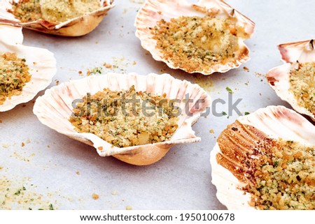 Backed scallops in shells on white background. Scallops au gratin on greaseproof paper. Mediterranean seafood. Fresh Shellfish. Aequipecten opercularis. Pecten Jacobaeus Royalty-Free Stock Photo #1950100678