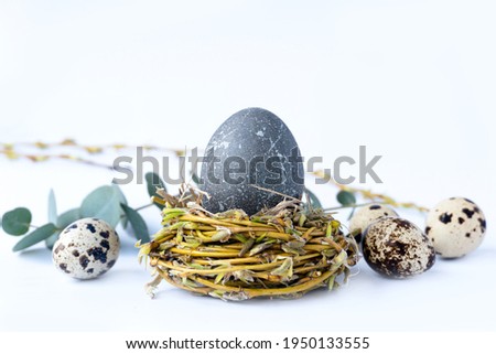 Сreative photo with easter egg with nest and eucalyptus 
