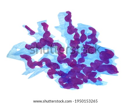 Hand Drawn Coral Illustration. Watercolor blue and purple sea corals isolated on a white background. Clip art work for design.
