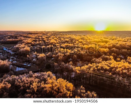 Frozen Trees in Autumn, aerial shot