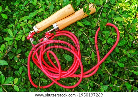 red skipping rope with wooden handles isolated on nature with clipping path. Royalty-Free Stock Photo #1950197269