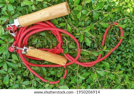 red skipping rope with wooden handles isolated on nature with clipping path.