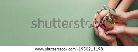 hands holding seedling in eggshells, montessori education , CSR Corporate social responsibility, Eco green sustainable living concept,zero waste, plastic free,world food day, responsible comsumption  Royalty-Free Stock Photo #1950211198