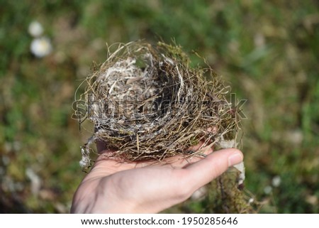 a bird nest for breeding and raising progeny or offspring