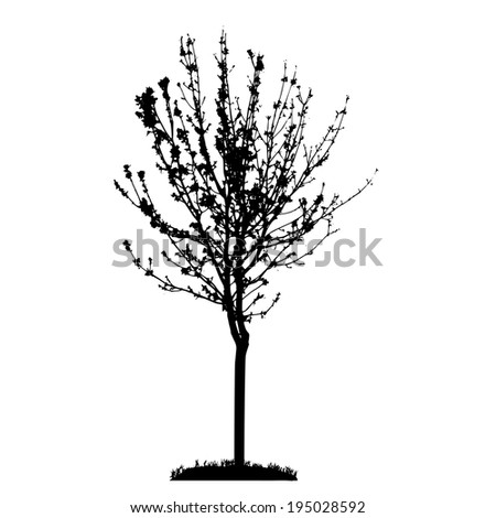Tree Silhouette Isolated on White Backgorund. Vecrtor Illustration