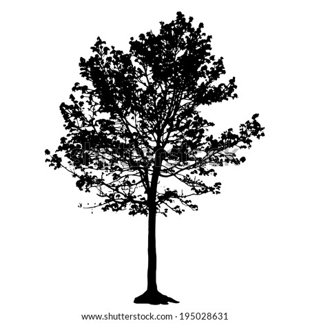 Tree Silhouette Isolated on White Backgorund. Vector Illustration