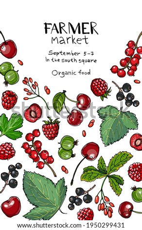 Berries food vector poster. Color sketch of products. Decor for kitchen and restaurant. Farm fruits and berries.  Cranberries, gooseberries, cloudberries, redcurrants, blackcurrants, strawberries Royalty-Free Stock Photo #1950299431