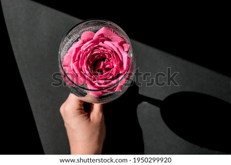 Wine glass filled with pink flower petalson table with black. Minimal modern still life. Holiday concept Valentines or womans day background design. Creative summer idea.