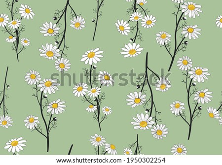 green daisy flower hand drawn vector