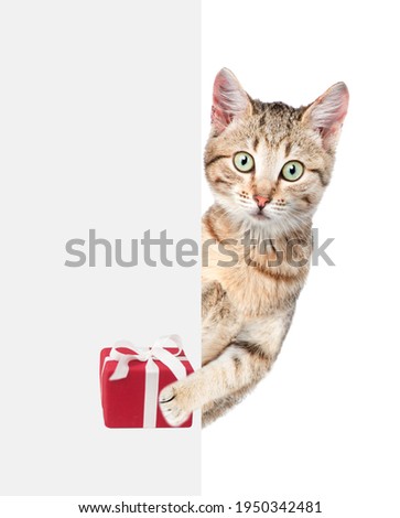 Funny cat holds gift box behind empty white banner. isolated on white background