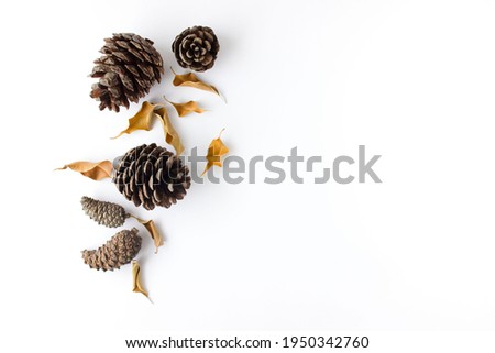 Autumn composition. Dried, autumn eaves and cones on a white background. Flat lay, top view, copy space Royalty-Free Stock Photo #1950342760