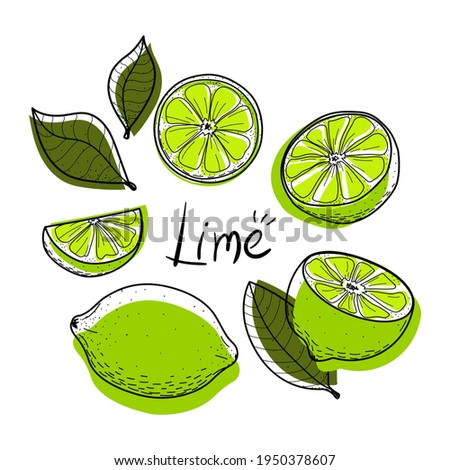 Lime set. Lime, slice, half, whole, and leaves. Colorful abstract citrus collection with black outline. Doodle, hand-drawn, flat, line art, sketch. Objects isolated on a white background. Vector. Royalty-Free Stock Photo #1950378607