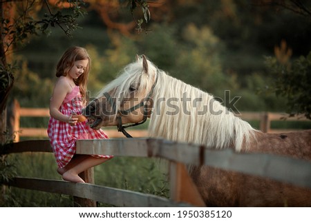 A girl sits on a wooden fence and gives the horse bread. Image with selective focus. The image is tinted. The image contains noise.