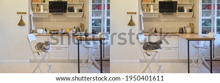 Kitchen before and after cleaning dirty dishes and items in the cabinets. Restoring order in a cluttered kitchen and a pet on a chair Royalty-Free Stock Photo #1950401611