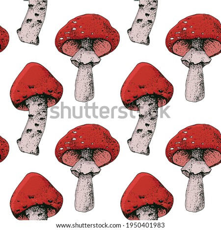 Mushroom hand drawn vector seamlees pattern. Isolated Sketch organic food drawing background.