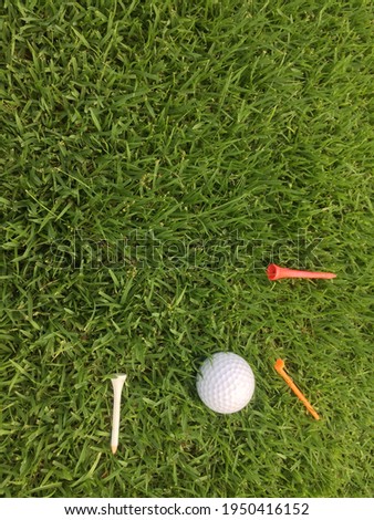 Green grass for golf sport up close Grass pictures for background