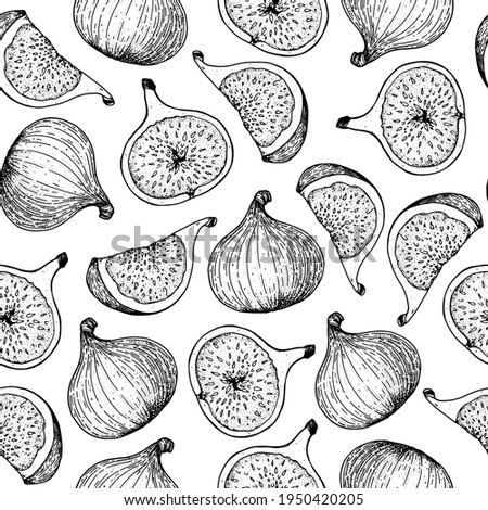 Fig fruit hand drawn package design. Vector illustration. Design, package, brochure illustration. Hand drawn fig fruits seamless pattern. Retro vintage Royalty-Free Stock Photo #1950420205