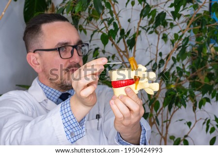 Neurologist at appointment consults patient and shows him spinal cord on anatomical model of spine. Diagnosis and treatment of spinal cord diseases such as stroke, amyotrophic lateral sclerosis