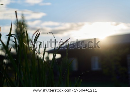 Warm summer concept. Sun with blue sky with silhouette of grass with blurred village house on background. View from ground. High quality photo