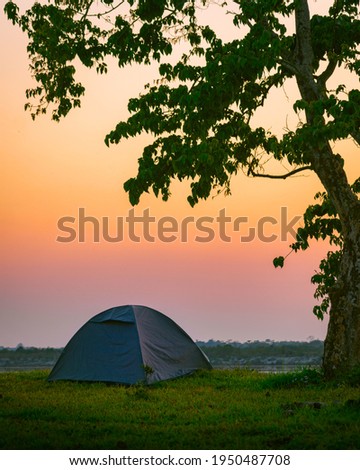 Camp Night High Res Stock Images