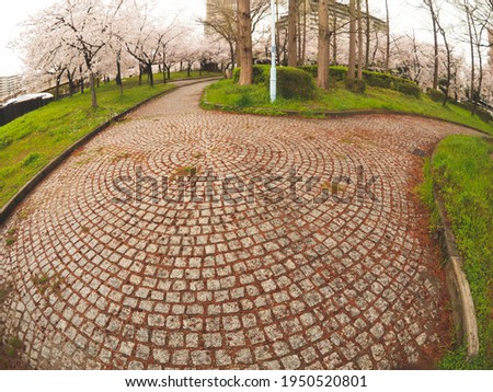 Selective focused photo of pathway at the park in Osaka city