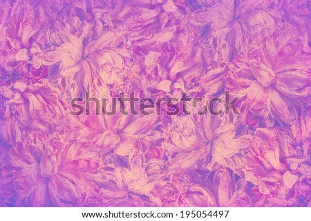 art floral vintage background with asters