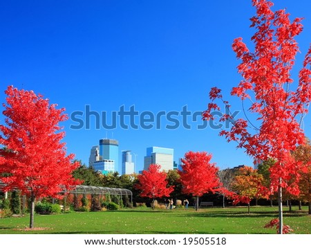 fall in Minneapolis