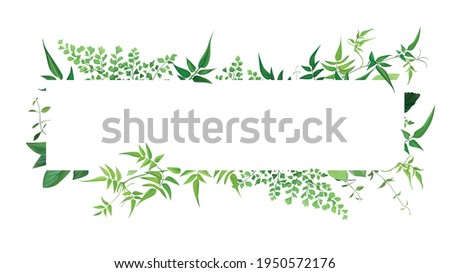 Fresh natural greenery leaves, branches, jasmine vine, forest fern, herbs botanical border, frame, text space. Vector editable watercolor art illustration. Poster banner, wedding invite, greeting card Royalty-Free Stock Photo #1950572176