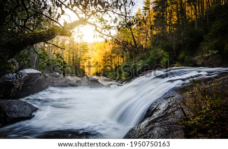 Turtleback Falls at sunrise in Gorges State Park Royalty-Free Stock Photo #1950750163