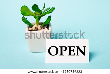 On a light blue background - a potted plant and a white card with the inscription OPEN