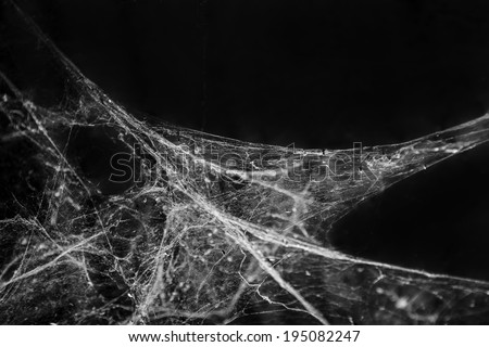Abstract Spiderweb on black background Royalty-Free Stock Photo #195082247