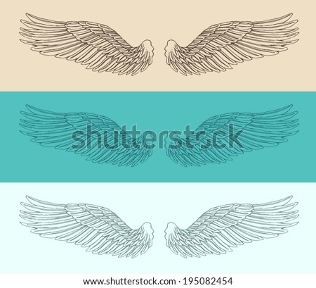 angel wings set  illustration, engraved style, hand drawn, sketch