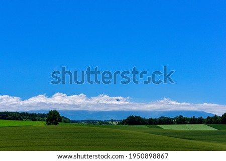 Summer and farm scenery in Biei, Hokkaido, Japan
