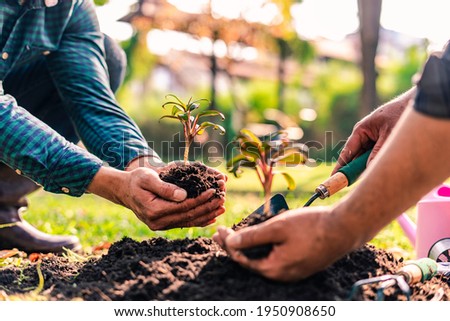 World environment day afforestation nature and ecology concept The male volunteer are planting seedlings and trees growing in the ground while working to save Earth, Earth Day. Royalty-Free Stock Photo #1950908650