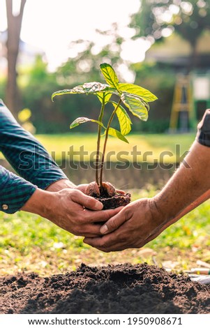 World environment day afforestation nature and ecology concept The male volunteer are planting seedlings and trees growing in the ground while working in the garden to save Earth, Earth Day. Royalty-Free Stock Photo #1950908671