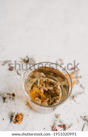 Warm herbal tea in a glass cup on a light background. Herbal tea ingredients with space for text.