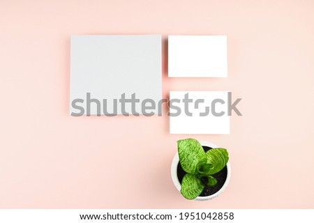 Empty cards and green plant in white pot on table. Mock up poster frame. Stylish template. High quality photo