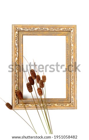 
Cattail or reed in an empty damask from a painting, on a white background