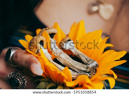 Woman Holding Psilocybin Mushrooms with Sunflower