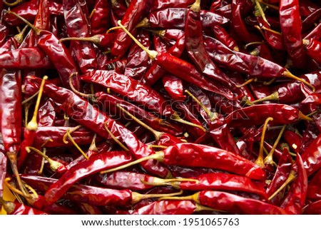 Close up of dry red Chili Pepper in full screen