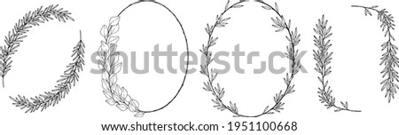 Set of vector branches, ferns and leaves. Botanical illustration. 