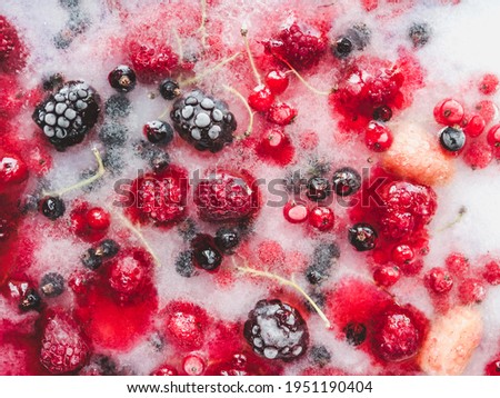 Homemade ice cream decorated with bright berries. Close-up, view from above. Tasty and healthy eating concept