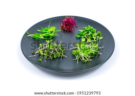 Microgreen sprouts of peas, red cabbage, amaranth, mustard, radish on a gray plate on a white table. Proper nutrition. Vegan food.