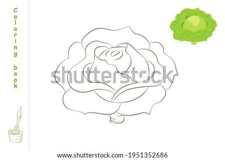 Coloring book cabbage with example. Template for printing. Vector illustration.